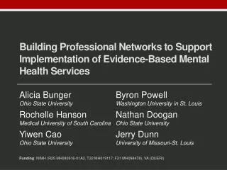 Building Professional Networks to Support Implementation of Evidence-Based Mental Health Services
