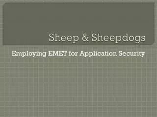 Sheep &amp; Sheepdogs