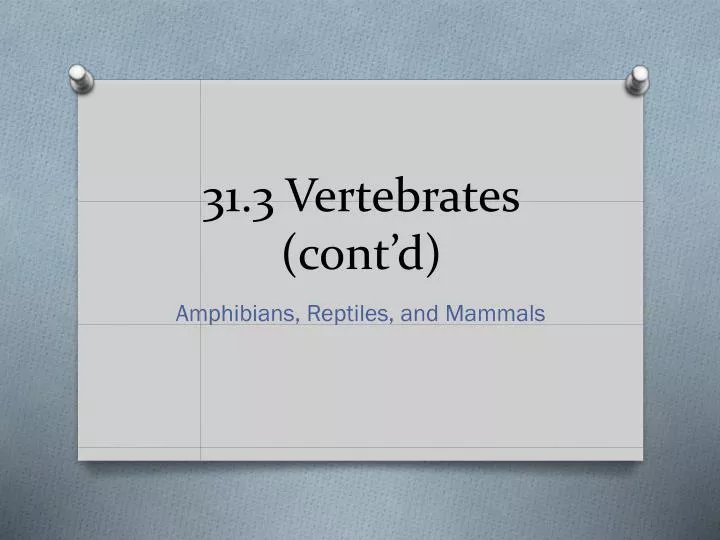 31 3 vertebrates cont d