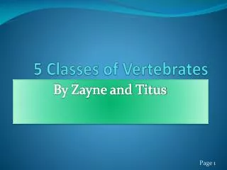5 Classes of Vertebrates