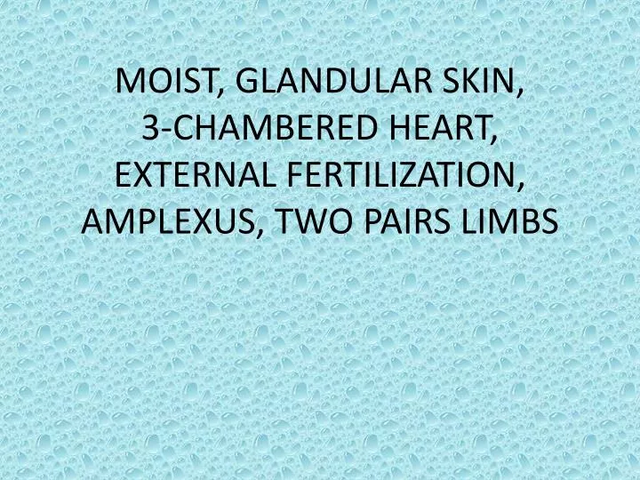 moist glandular skin 3 chambered heart external fertilization amplexus two pairs limbs