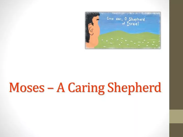 moses a caring shepherd