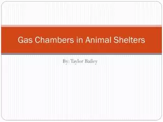 Gas Chambers in Animal Shelters