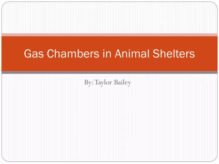 gas chambers in animal shelters