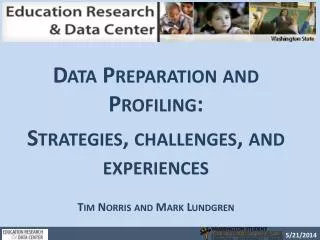 Data Preparation and Profiling: Strategies, challenges, and experiences