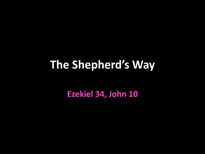 the shepherd s way
