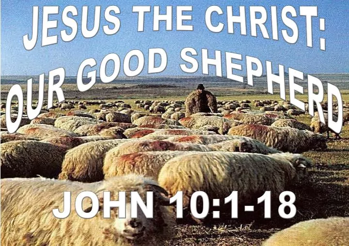 jesus the christ our good shepherd