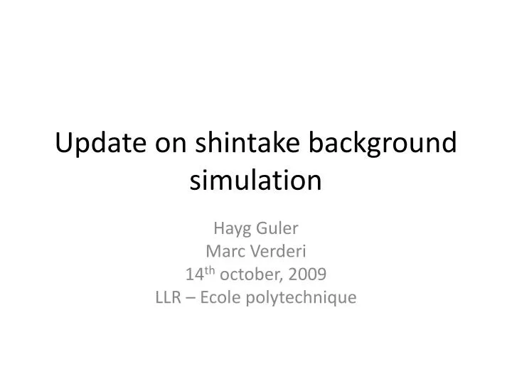 update on shintake background simulation