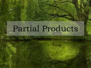 partial products