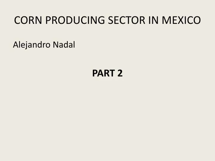 corn producing sector in mexico