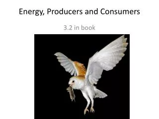 Energy, Producers and Consumers
