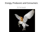 Understanding Energy Flow: Primary Producers and Consumers in Ecosystems - slide 1
