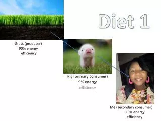 grass producer 90 energy efficiency