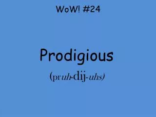 wow 24