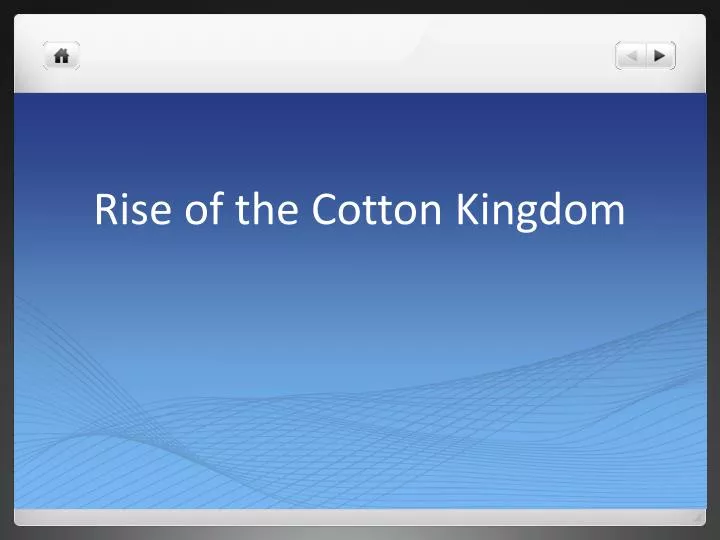 rise of the cotton kingdom