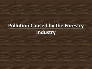 Pollution Caused by the Forestry Industry