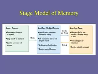 Stage Model of Memory