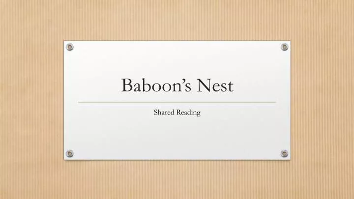 baboon s nest