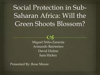 Social Protection in Sub-Saharan Africa: Will the Green Shoots Blossom?