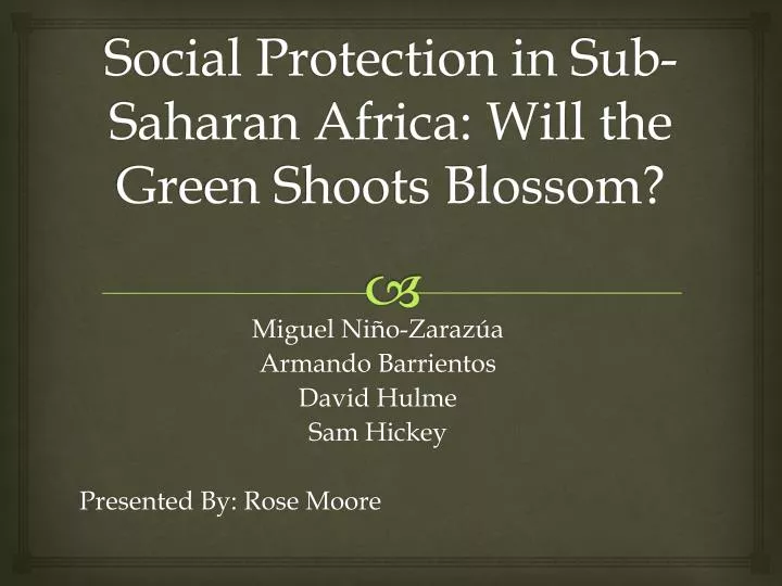 social protection in sub saharan africa will the green shoots blossom