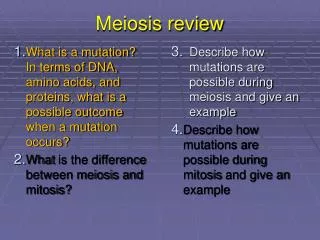 meiosis review