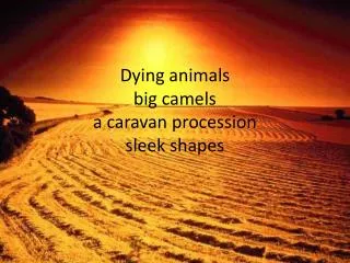 Dying animals big camels a caravan procession sleek shapes