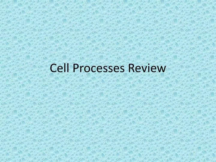 cell processes review