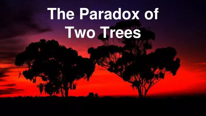 the paradox of two trees