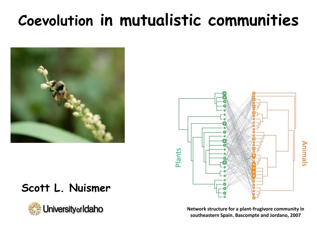 PPT - Coevolution in mutualistic communities PowerPoint Presentation ...