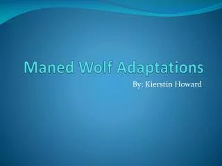 Maned Wolf Adaptations