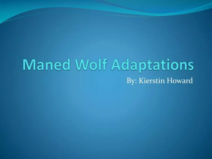 maned wolf adaptations