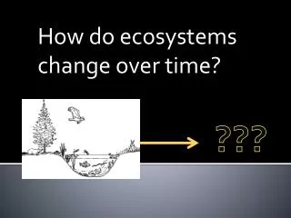 How do ecosystems change over time?