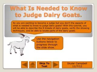 What Is Needed to Know to Judge Dairy Goats.