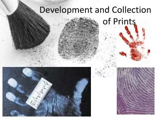 Development and Collection 			of Prints
