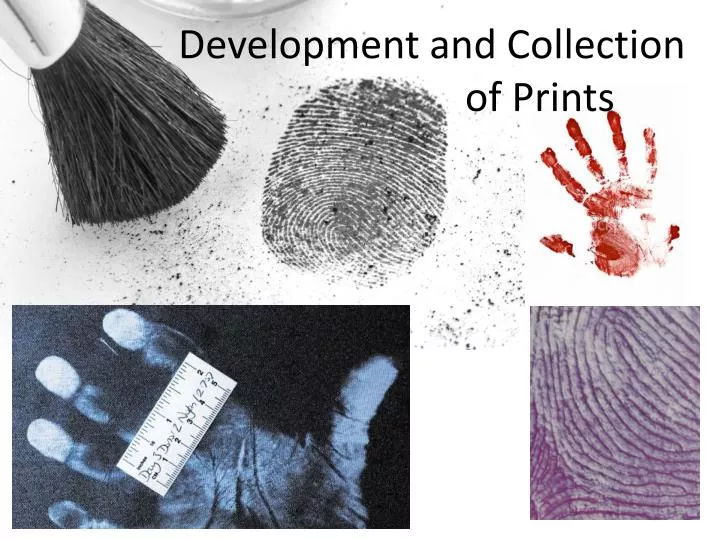 development and collection of prints