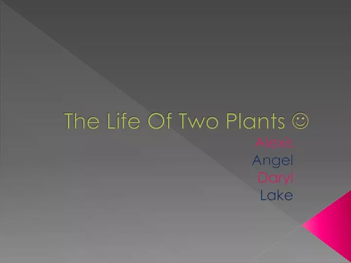 the life of two plants