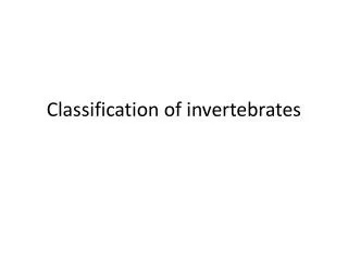 Classification of invertebrates