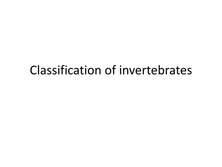 classification of invertebrates