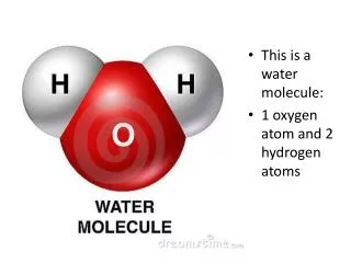 This is a water molecule: 1 oxygen atom and 2 hydrogen atoms