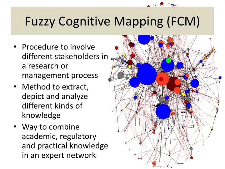 fuzzy cognitive mapping fcm