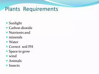 plants requirements