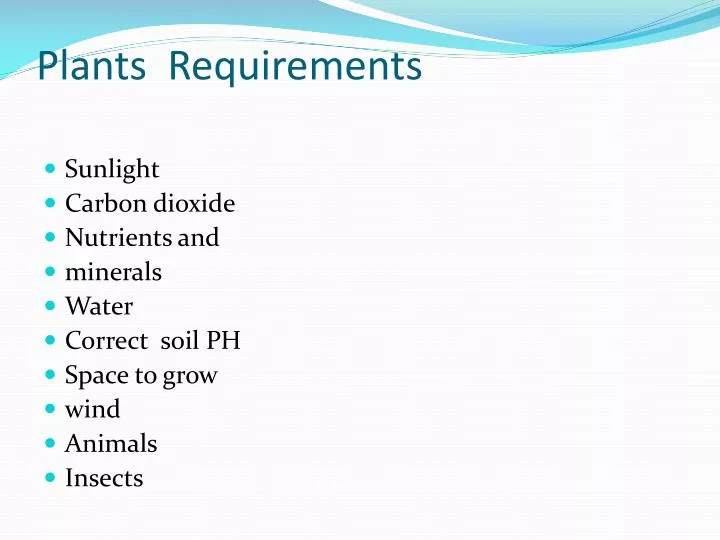 plants requirements