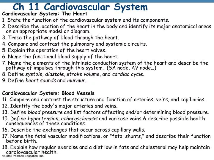 ch 11 cardiovascular system