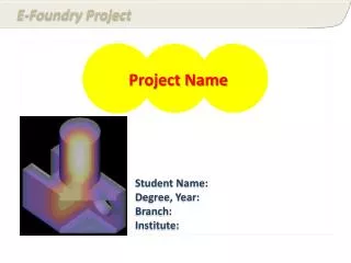 Project Name