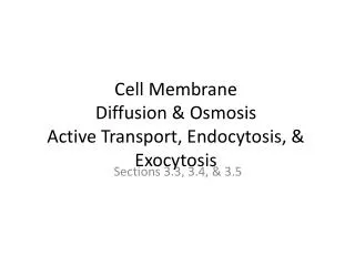 Cell Membrane Diffusion &amp; Osmosis Active Transport, Endocytosis, &amp; Exocytosis