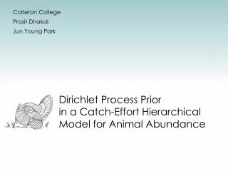 Dirichlet Process Prior in a Catch-Effort Hierarchical Model for Animal Abundance
