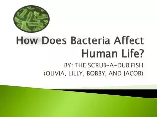 How Does B acteria A ffect H uman L ife?