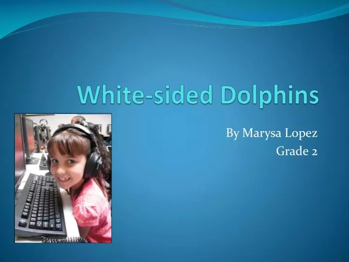 white sided dolphins