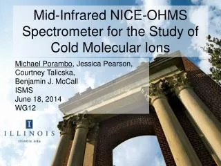 Mid-Infrared NICE-OHMS Spectrometer for the Study of Cold Molecular Ions