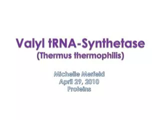 Valyl tRNA-Synthetase ( Thermus thermophilis )